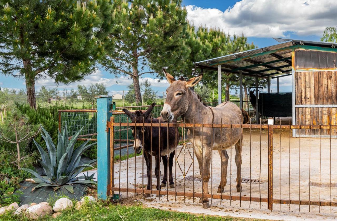 Relais Ca' Maddalena Villa Villafranca di Verona Eksteriør bilde